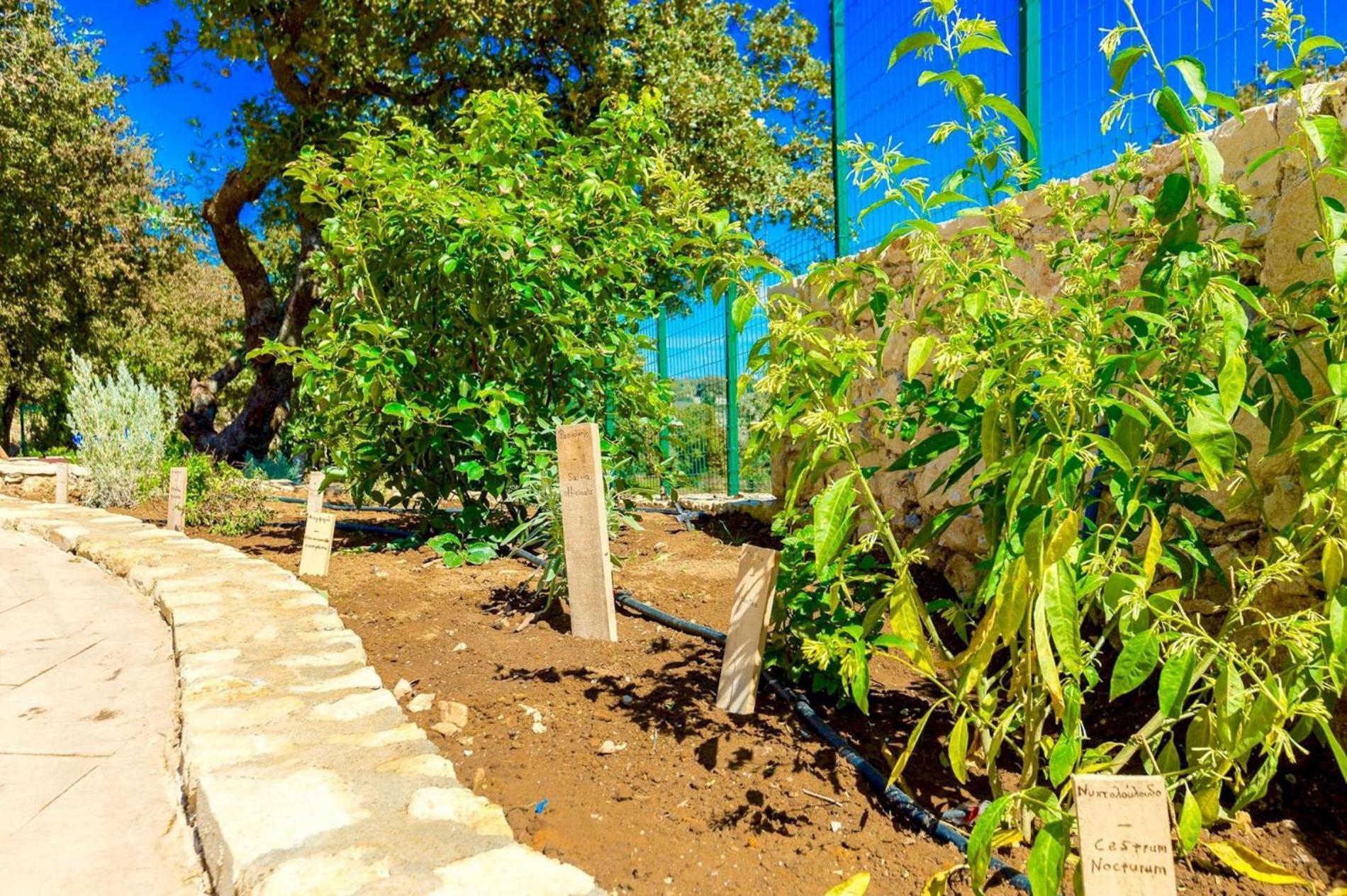 Fotinos Villa Trules מראה חיצוני תמונה